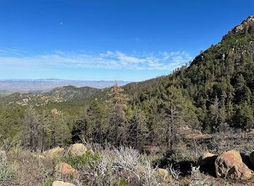 arizona/mohave-county/landmark/hualapai-mountain-park-arizona