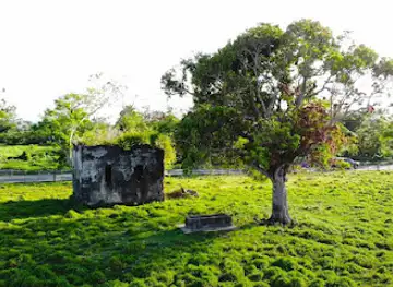 Ruinas de Carolina