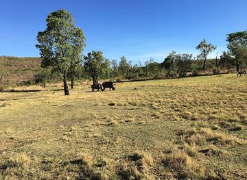 south-africa/bushveld/landmark/welgevonden-game-reserve