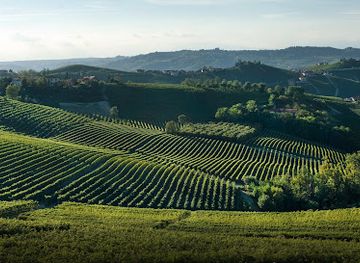 italy/roero/landmark/associazione-per-il-patrimonio-dei-paesaggi-vitivinicoli-di-langhe-roero-e-monferrato