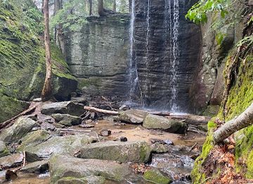 pennsylvania/southern-alleghenies/landmark/hector-falls