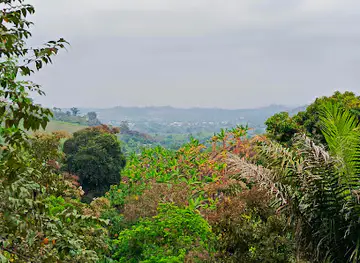 Palenque Los Rios Ecuador