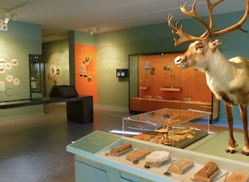 france/ardèche-gorges/landmark/aven-d-orgnac-grand-site-de-france-cite-de-la-prehistoire