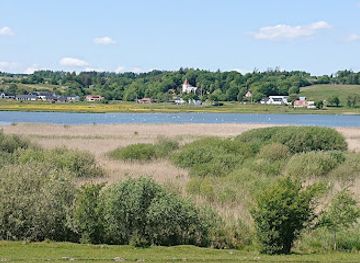 denmark/mariager-fjord/attraction/rold-skov