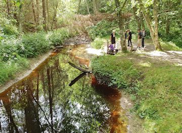 sweden/varmland/landmark/nygardskallan