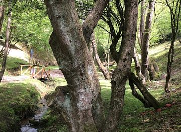 bosnia-and-herzegovina/central-bosnia-canton/landmark/magicna-suma