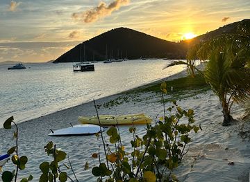 british-virgin-islands/jost-van-dyke/landmark/alice-s-restaurant