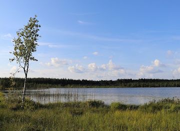 latvia/latgale/landmark/teirumniki-bog-trail