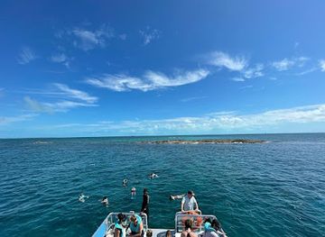 the-bahamas/bimini/landmark/bimini-blue-adventures