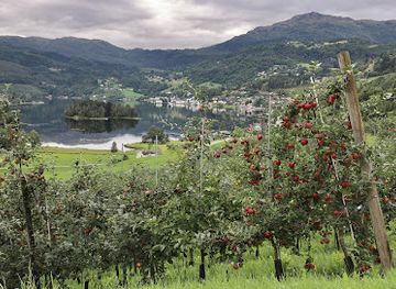 norway/hardangervidda-national-park/landmark/siderruta