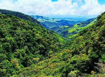 costa-rica/monteverde/landmark/will-nunez-tours