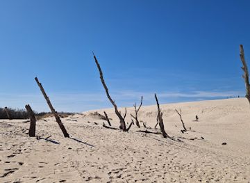 poland/słowiński-national-park/landmark/wydma-lacka