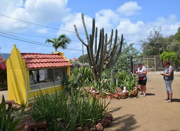 curacao/caracas-bay/landmark/den-paradera-herb-garden-curacao-by-dinah-veeris