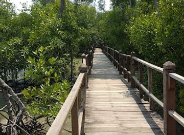 malaysia/taman-negara-national-park/landmark/taman-negara-johor-tanjung-piai