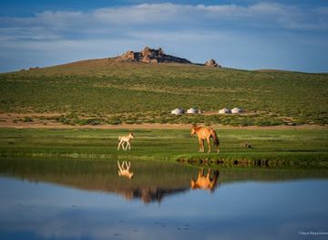 mongolia/mongolian-manchurian-grassland/landmark/discover-mongolia-travel