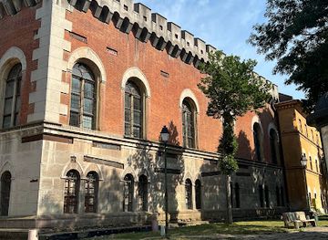 romania/timis/landmark/castle-of-huniade