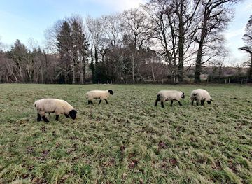 ireland/bray/landmark/kiliruddery-estate