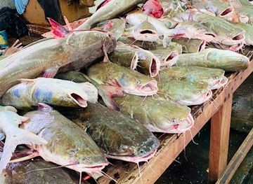 guyana/new-amsterdam/landmark/new-amsterdam-market