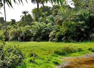 the-gambia/kiang-east-national-park/landmark/abuko-nature-reserve