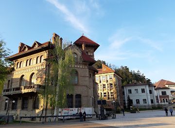 romania/neamt/landmark/art-museum