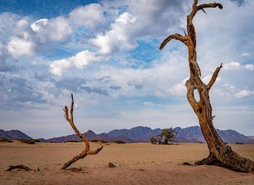 namibia/namib-naukluft-national-park/landmark/elim-dune