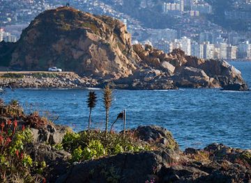 chile/vina-del-mar/landmark/la-roca-del-leon