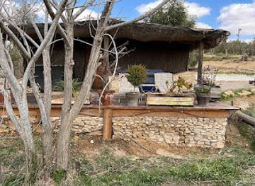 israel/southern-district/landmark/desert-olive-farm
