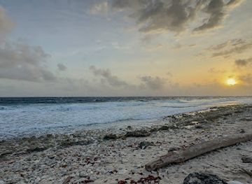 aruba/mangel-halto/landmark/sasariwichi-dunes