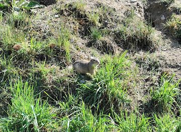 austria/vienna/donaustadt/landmark/donaustadter-weinhugel