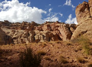 utah/capitol-reef-national-park/landmark/pioneer-register