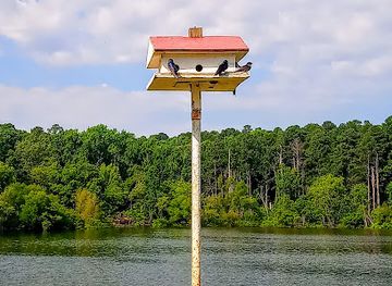 texas/piney-woods/landmark/atlanta-state-park