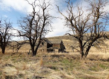 oregon/umatilla-county/landmark/hartle-road-homestead
