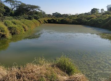 zambia/blue-lagoon-national-park/landmark/kalimba-reptile-park