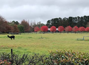 australia/southern-highlands/landmark/bowral-sign-southern-approach