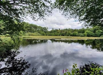 france/reims/landmark/montagne-de-reims-regional-natural-park