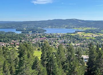 sweden/dalarna/landmark/naturum-dalarna