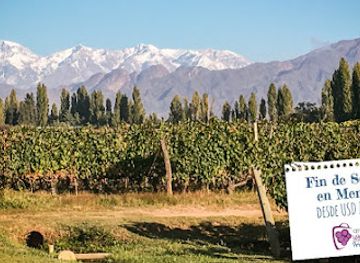 argentina/mendoza-wine-region/landmark/argentina-wine-tours