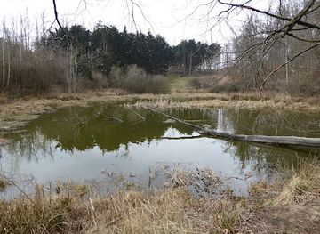 austria/wachau/landmark/ruhrsdorfer-see