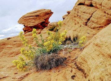 arizona/page/landmark/waterholes-canyon