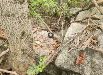 maine/saco/landmark/saco-quarry