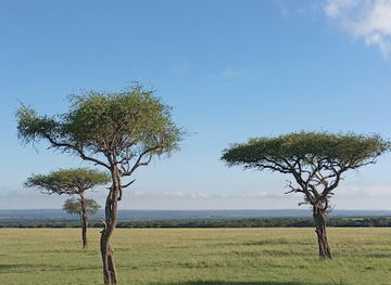kenya/amboseli-national-park/landmark/house-in-the-wild