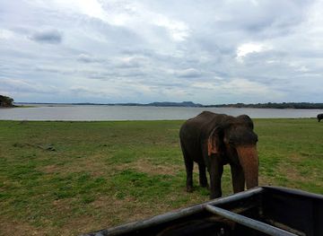 sri-lanka/minneriya-national-park/landmark/minneriya-national-park-ticket-office