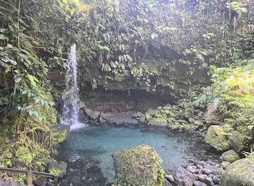 dominica/emerald-pool/landmark/wacky-rollers-wrave-ltd-dominica