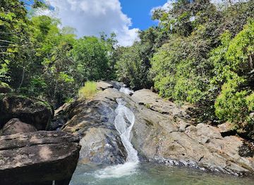 puerto-rico/yunque-national-forest/landmark/las-pailas