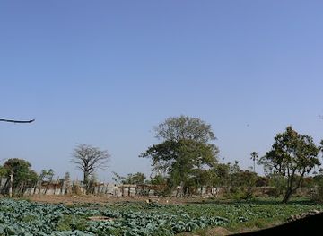 the-gambia/niamina-dankunku/landmark/kachikally-crocodile-pool