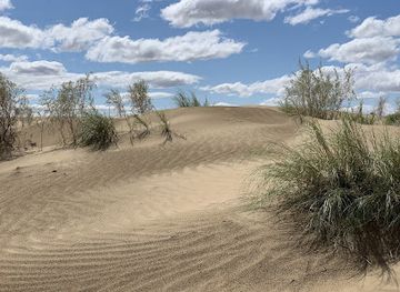 turkmenistan/garagum-canal/landmark/karakum-desert