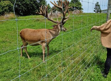 new-zealand/southland/landmark/bannerman-park