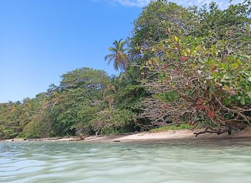 costa-rica/cahuita-national-park/landmark/punta-cahuita