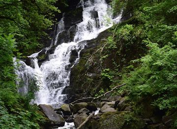 ireland/killarney-national-park/landmark/the-taproom-at-killarney-brewing-distilling-co