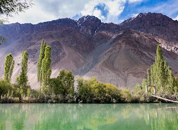 pakistan/phandar-valley/landmark/phander-naseer-wooden-bridge